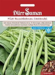 Image result for Buschbohnen