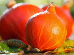 Image result for Kürbis