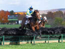 Image result for Fisher Equestrian