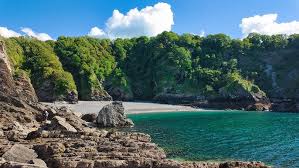 Image result for Ilfracombe & N Devon