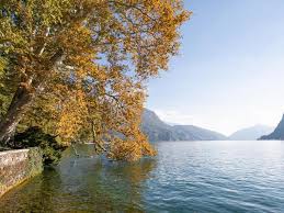 Image result for "Parco Ciani"