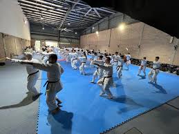 Image result for Oxford Karate Institute
