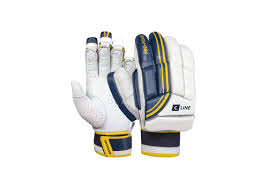 Image result for Aldwick Cricket Club