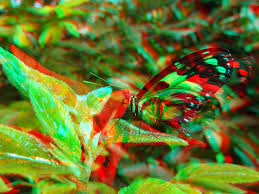 Image result for Anaglyph