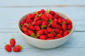 Image result for Fragaria vesca