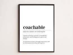 Image result for Coachability