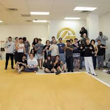 Image result for L&G Acrobatics