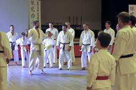 Image result for Backwell Karate