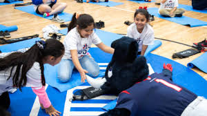 Image result for Texans Badminton Club