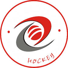 Image result for Plymouth Marjon Hockey Club