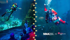 Image result for Plymouth Aquanauts