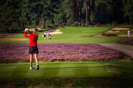 Image result for Hankley Common Golf Club