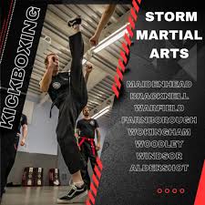 Image result for Maidenhead Karate Club