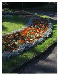 Image result for Bideford Bowling Club