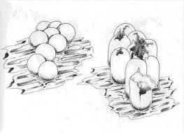 Attēlu rezultāti vaicājumam “Oligonema favogineum spores”