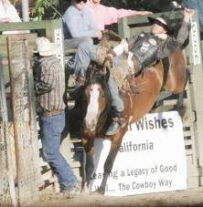 Image result for Thurrock BSAC