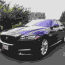 Image result for Black Berry 2015 Jaguar