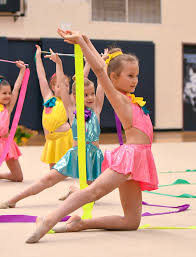 Image result for Northern Gymnastics Club CIC