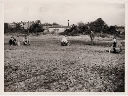 Image result for Stretford Cricket Club