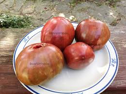 Afbeeldingsresultaat voor black oxheart tomato