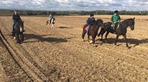 Image result for Beechwood Riding School