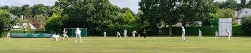 Image result for Oxshott Village Cricket Club