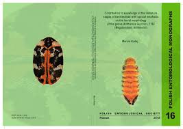 Attēlu rezultāti vaicājumam “Anthrenus sp. larva”