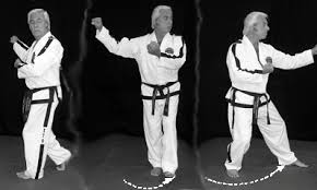 Image result for English International Allstyles Taekwon-Do