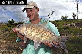 Image result for Ictiobus bubalus