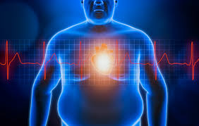 Image result for fat