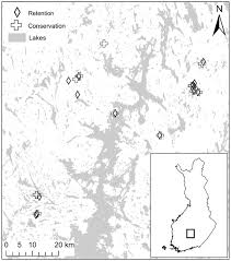 Attēlu rezultāti vaicājumam “Campylophyllum sommerfeltii”