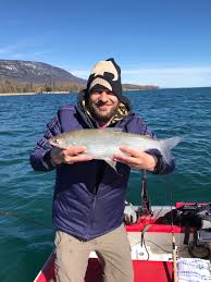 Image result for Coregonus oxyrinchus