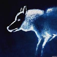 Image result for Weston Rhyn Wolves