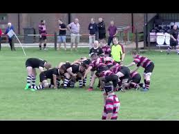 Image result for Dunstablians Rugby Union Football Club