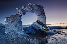 Image result for Ildblomkarse