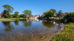 Image result for New Forest/Waterside