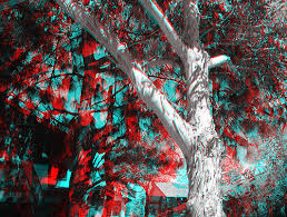 Image result for Anaglyph