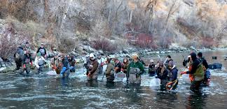 Image result for Kirkham and District Fly Fishers` Club