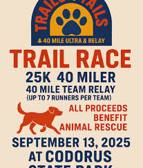 Image result for 26 2 Road Runners Club