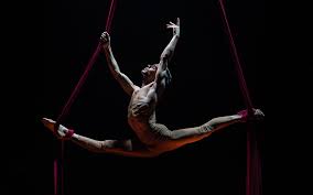 Image result for Le Clique Divers