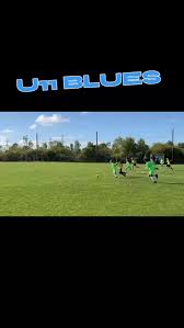 Image result for Rayleigh boys under 7's Leopards- need a Goalie!
