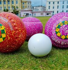 Image result for Teignbridge Indoor Bowls Club