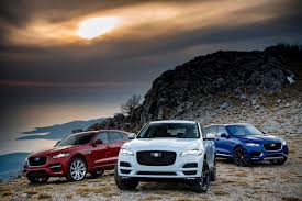 Image result for Halcyon Gold 2016 Jaguar