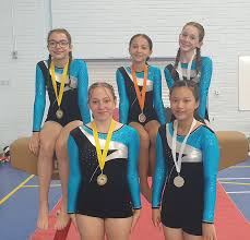 Image result for Charisma Gymnastics Club