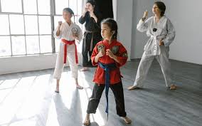 Image result for Martial Art Centre of Excellence