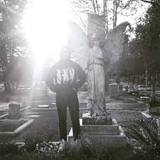 Attēlu rezultāti vaicājumam “Badhamia bethelii stalked”