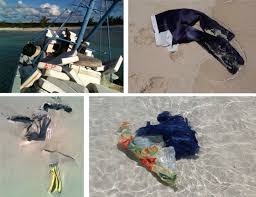 Image result for DeeperBlue.net Tribe (South London)