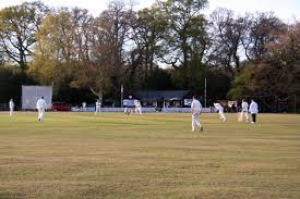 Image result for Cadnam Cricket Club