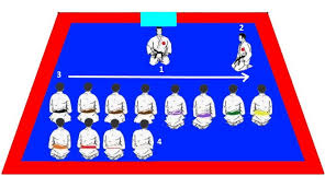 Image result for Seiki Juku Karate Organisation