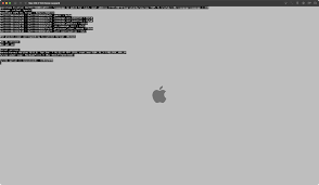 Image result for kernel panic snow leopard